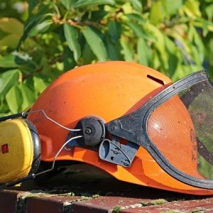 Safety Induction Training